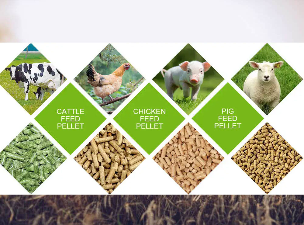 Animal Feed for sale